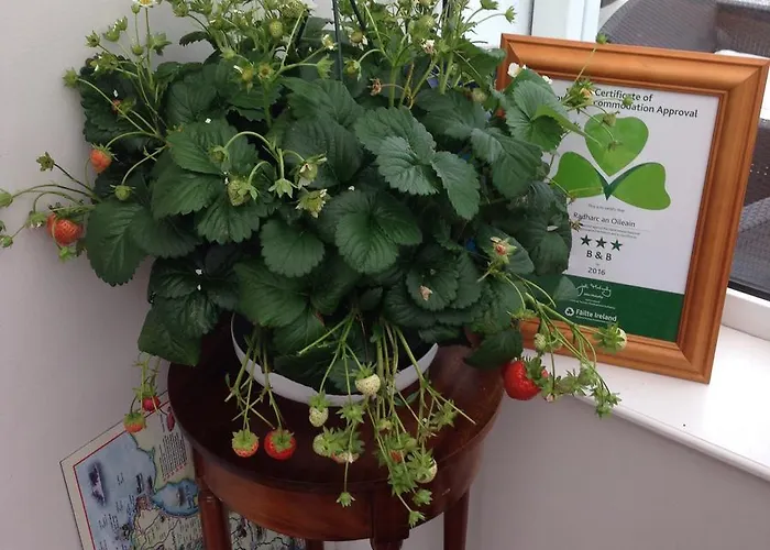 Radharc An Oileain Hotel Dungloe